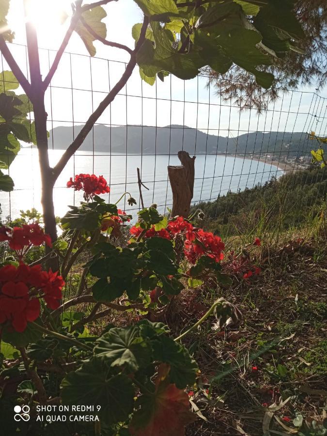 Cozy Apartment Few Mins From Beach Corfu Agios Georgios Pagon Exterior foto